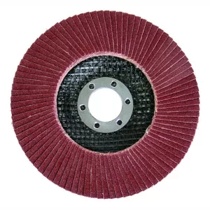 RAIDER Lamellás csiszolótárcsa D=125mm P60