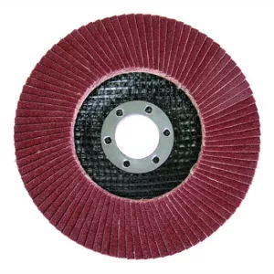 RAIDER Lamellás csiszolótárcsa D=125mm P80