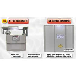   PEROGAZ T17FF 100 mbar H fali mérőállomás, kilépő oldal 1" hegeszthető (PEO-114)